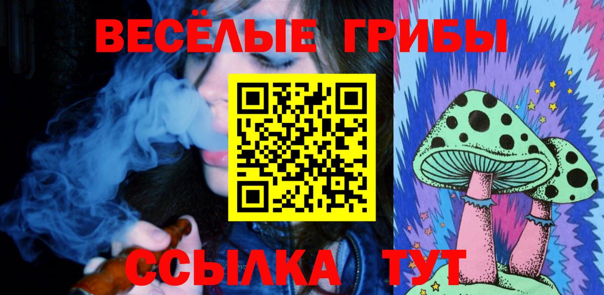 Псилоцибиновые грибы мицелий Советский