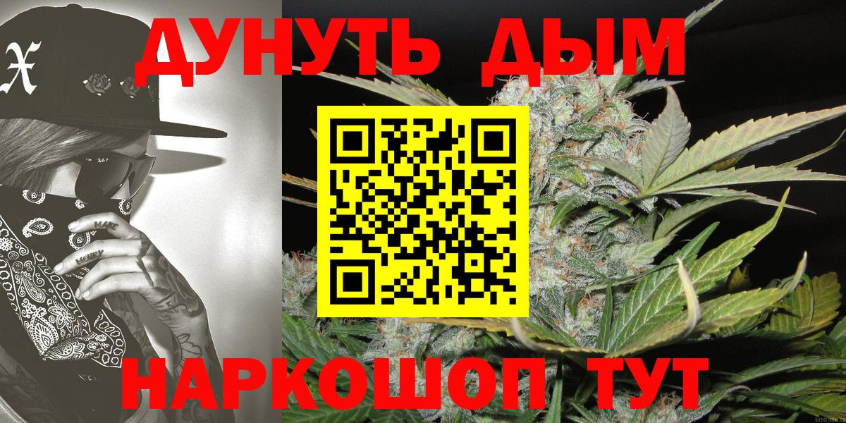 МАРИХУАНА ГИДРОПОН  Канабис планчик  Вход с VPN  Советский  Марихуана сатива 
